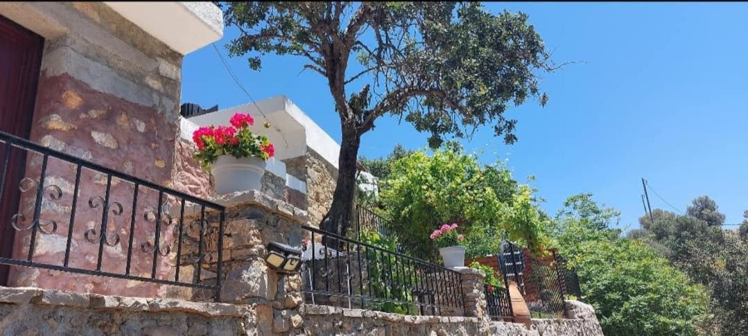Villa Sarichel Nikithianos Экстерьер фото